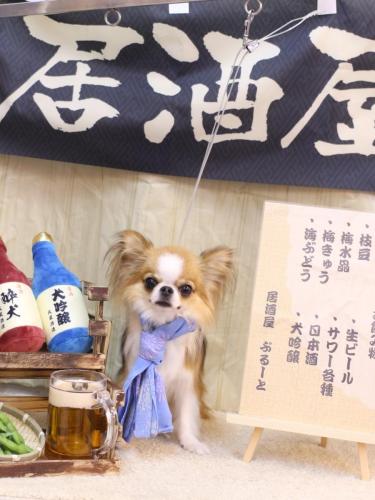 20240616プリューくん